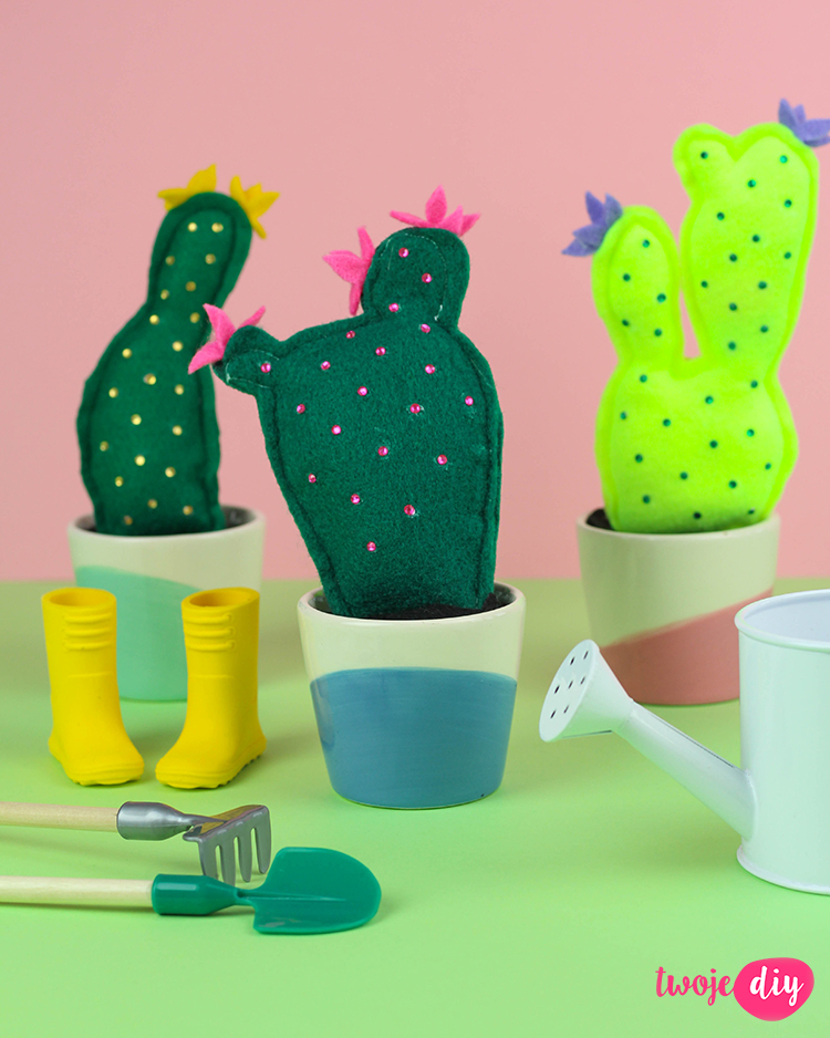 filcowe kaktusy 2