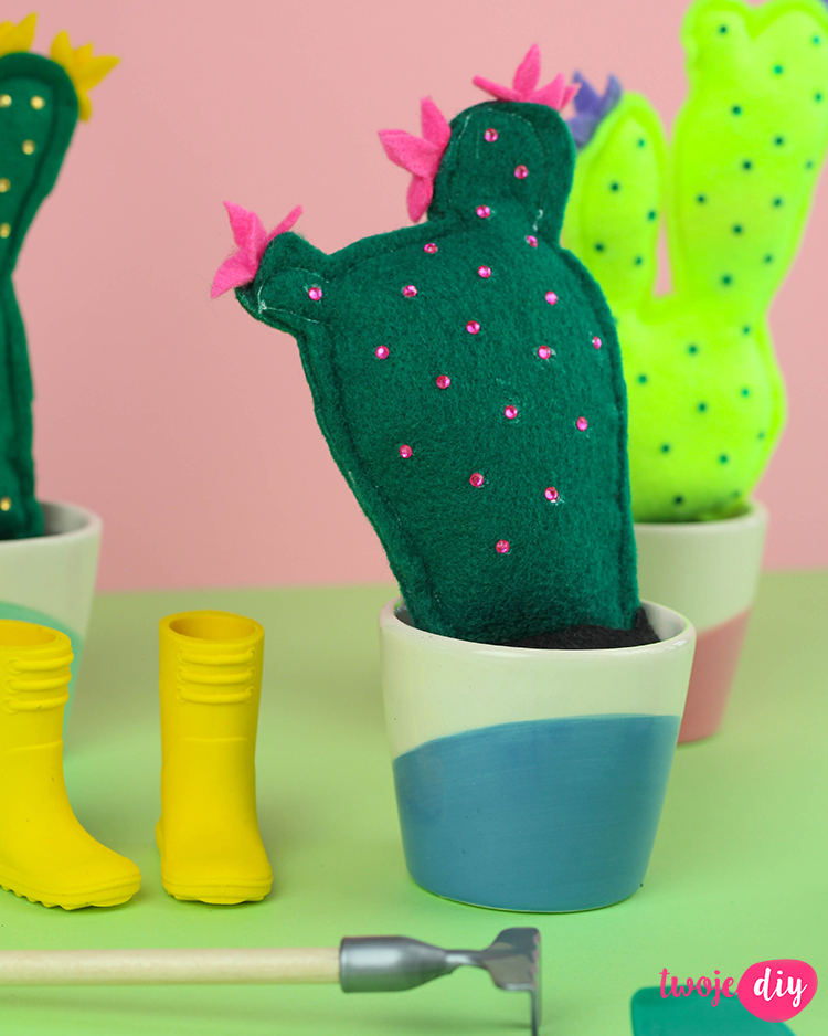 filcowe kaktusy 3