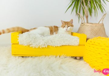 legowisko dla kota lub psa